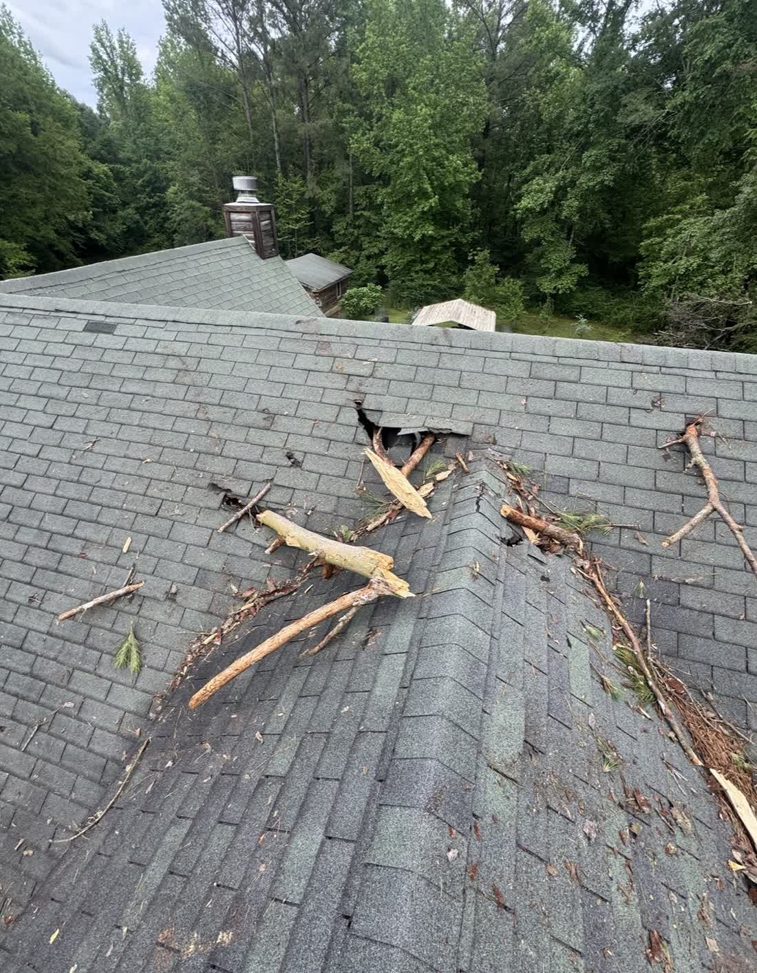 Tree branch through asphalt shingle roof — storm damage