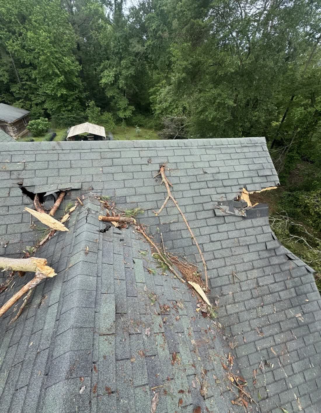 Storm damage — broken branches and torn shingles on residential roof